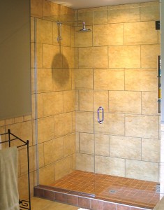 Frameless Glass Shower